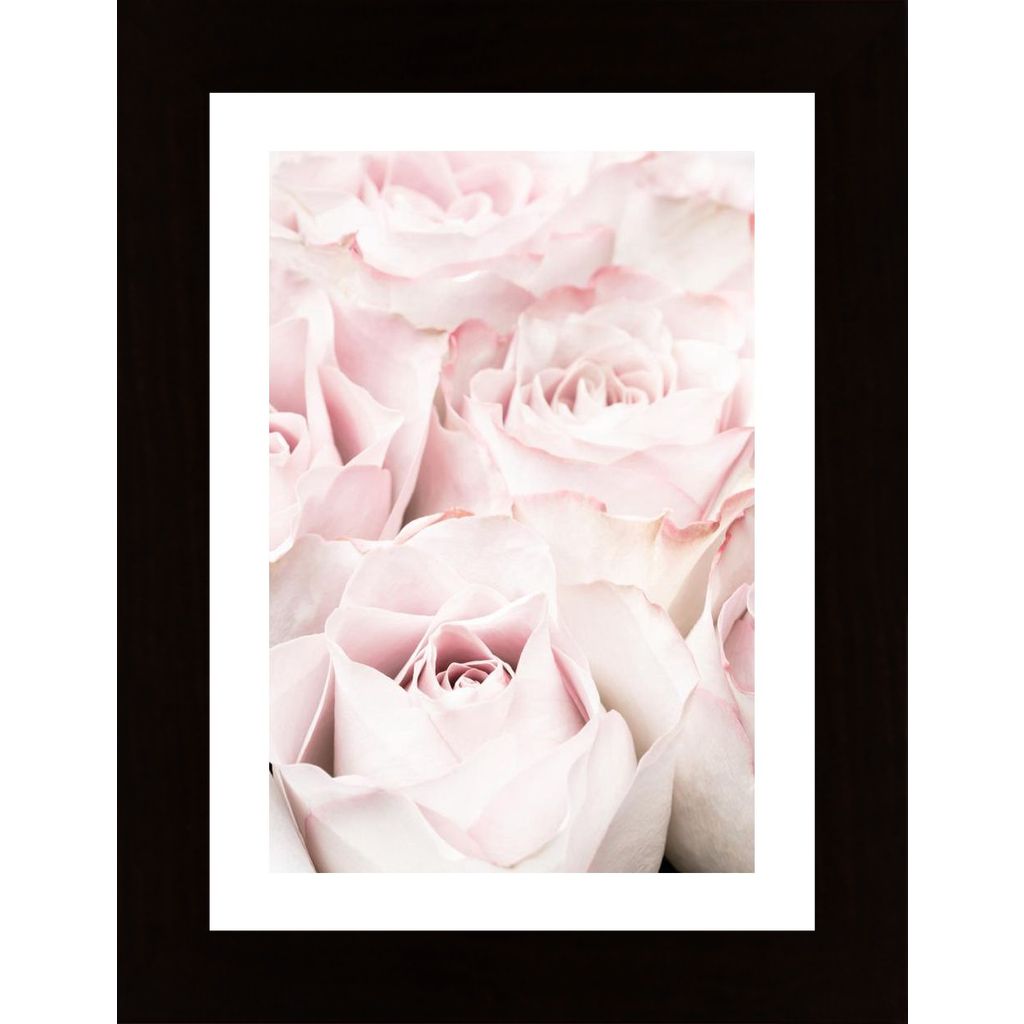 Pink Roses 05 Plakát