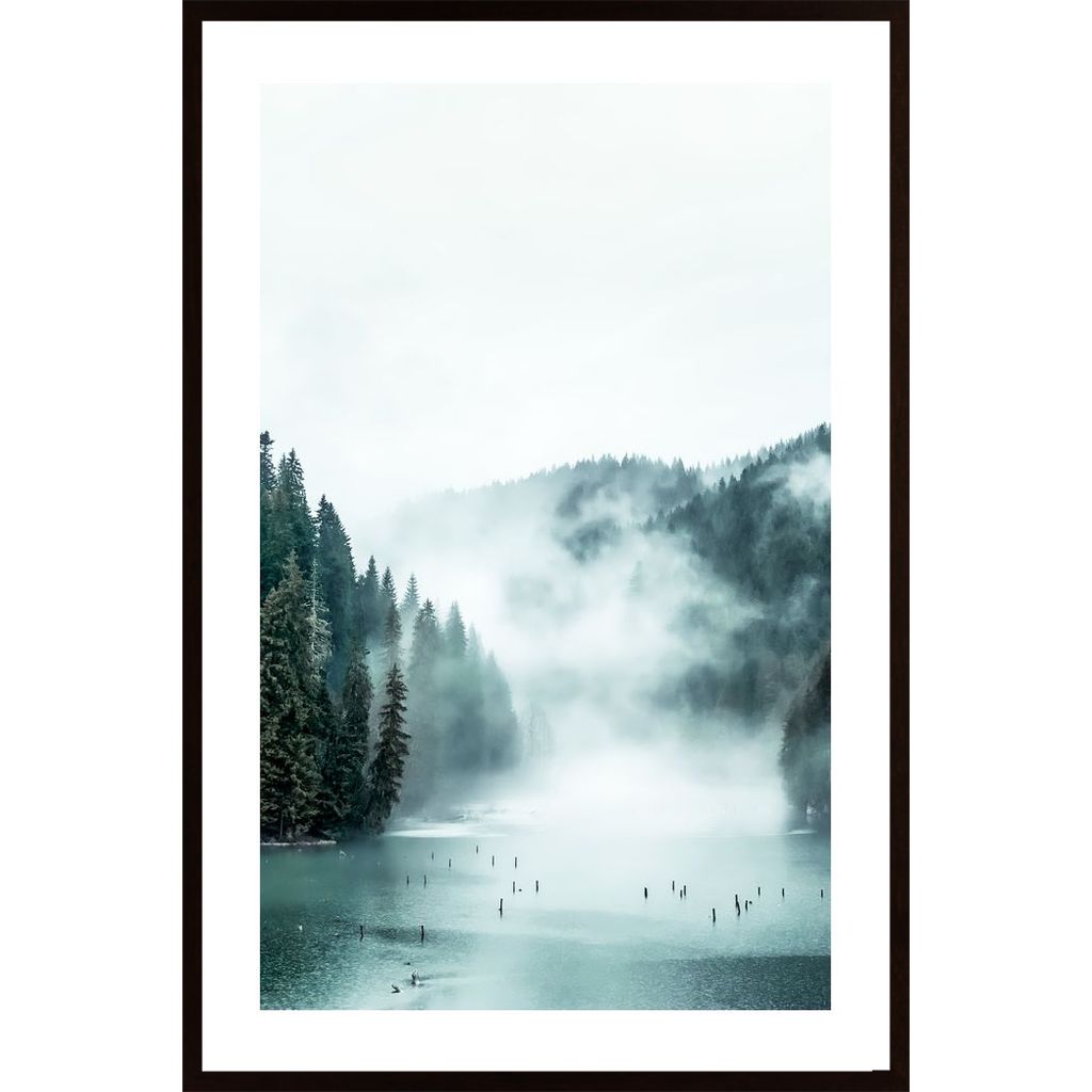 Forest Fog Affiche