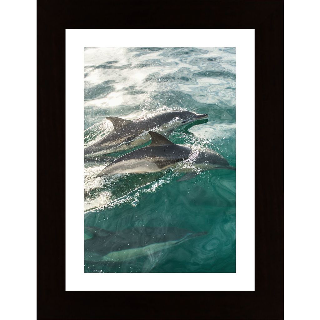 Swimming Dolphins In The Sea Plakát