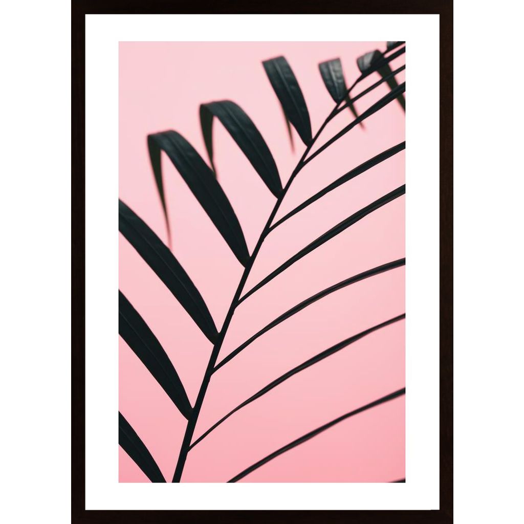 Graphic Palm Leaf 2 Poster