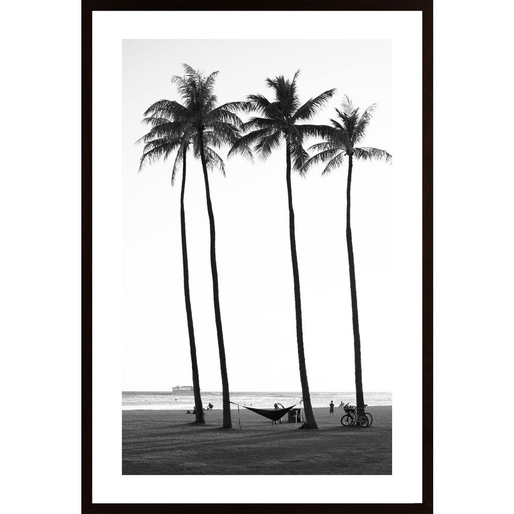 Palm Treess Plakat