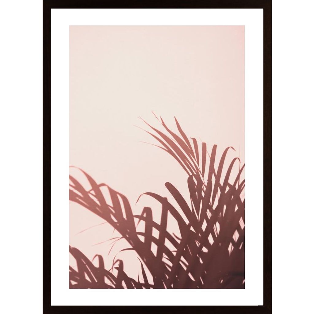 Palm Leaves 2 Poster