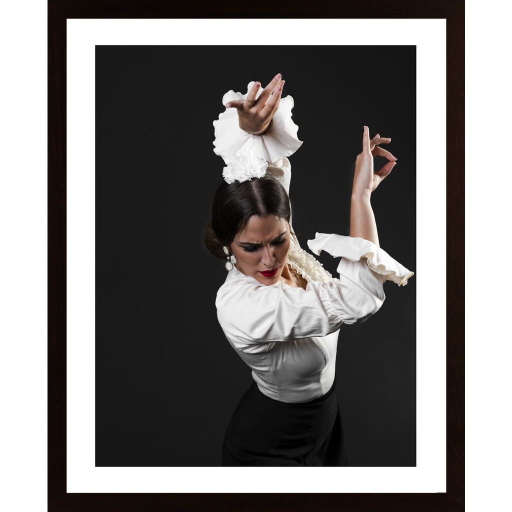 Latin Dance Poster