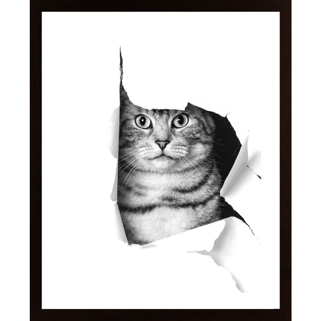 Cat Through Paper Poster