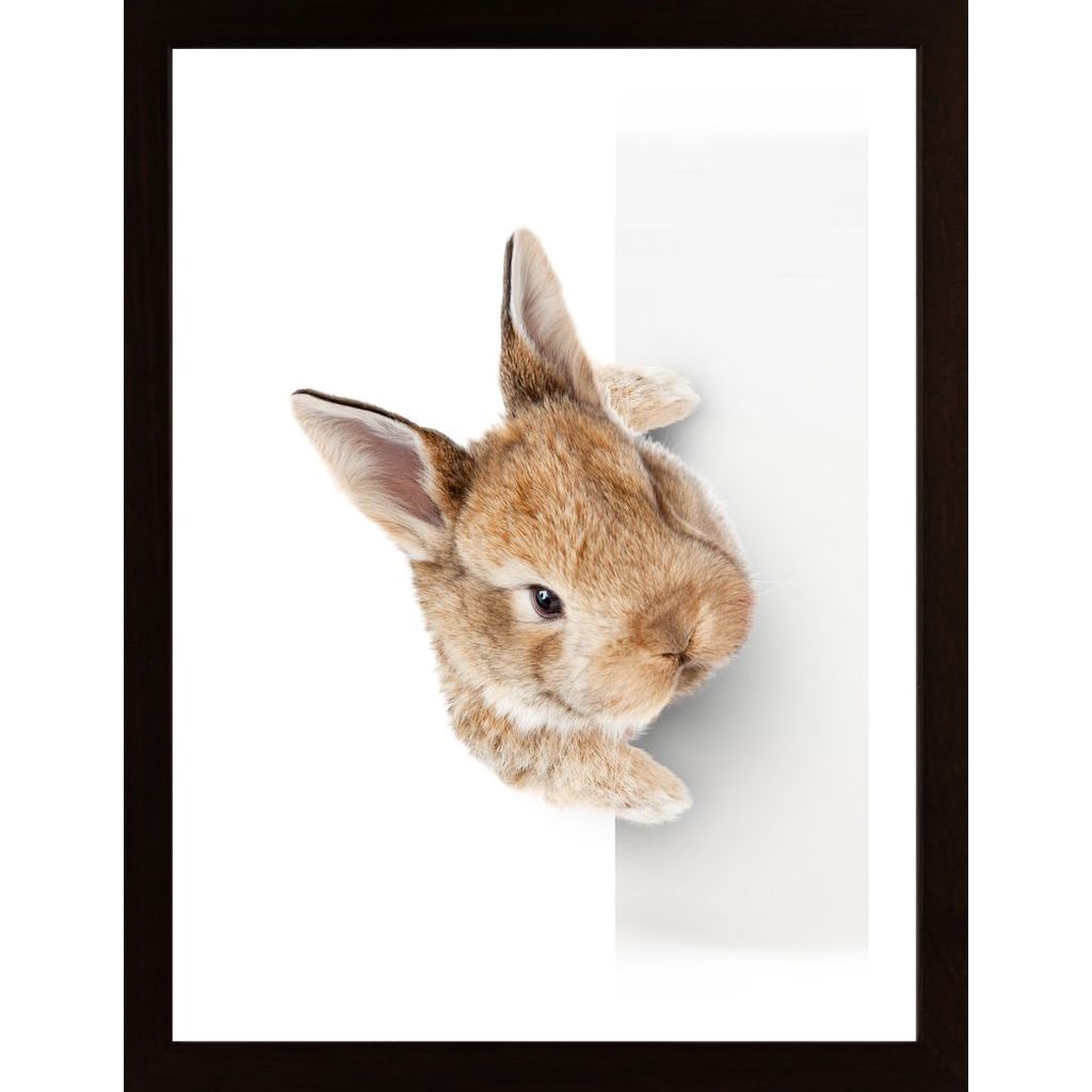 Curious Rabbit Poster