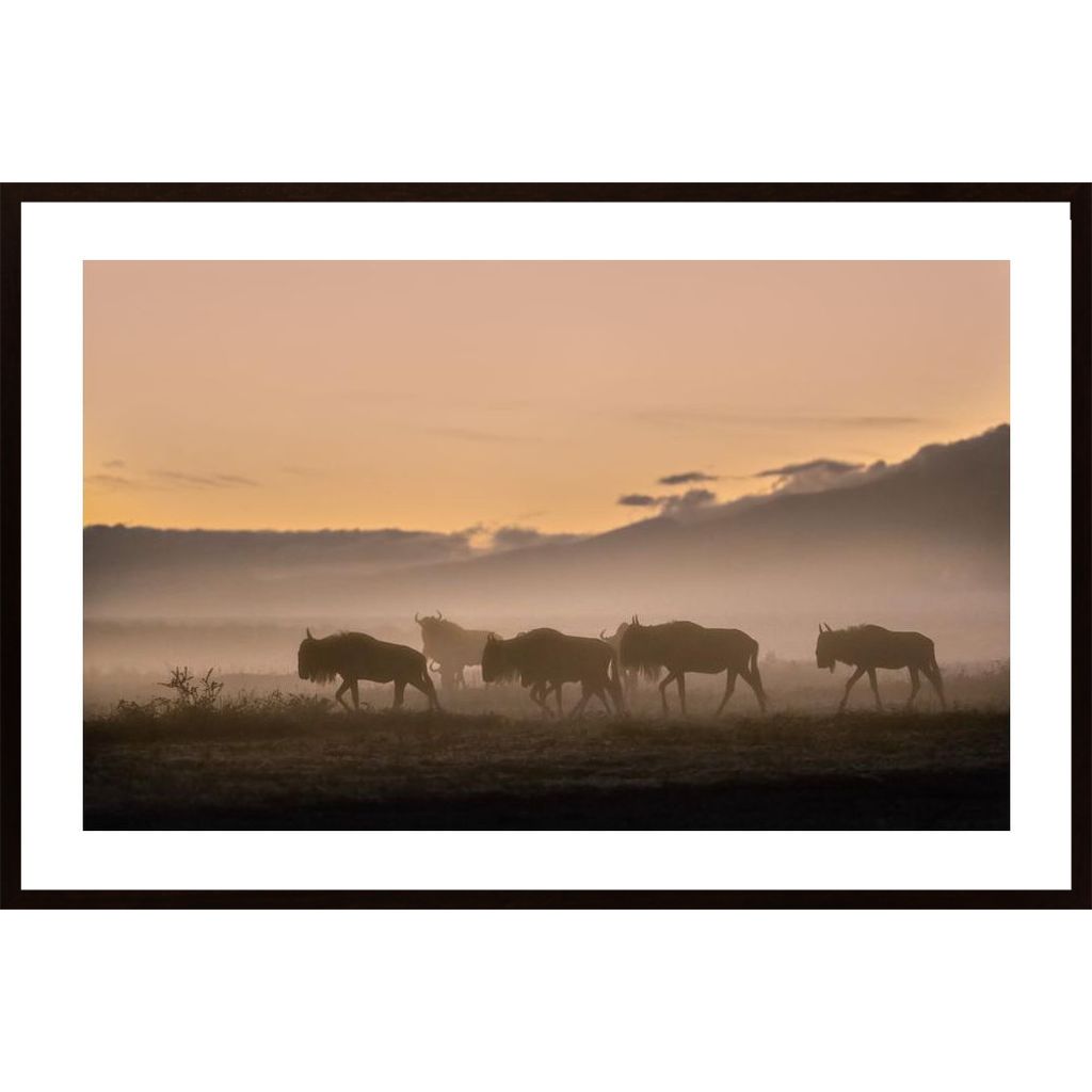 Early Morning In Serengeti Plakát