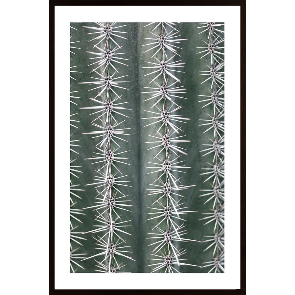 Cactus Green Plakát
