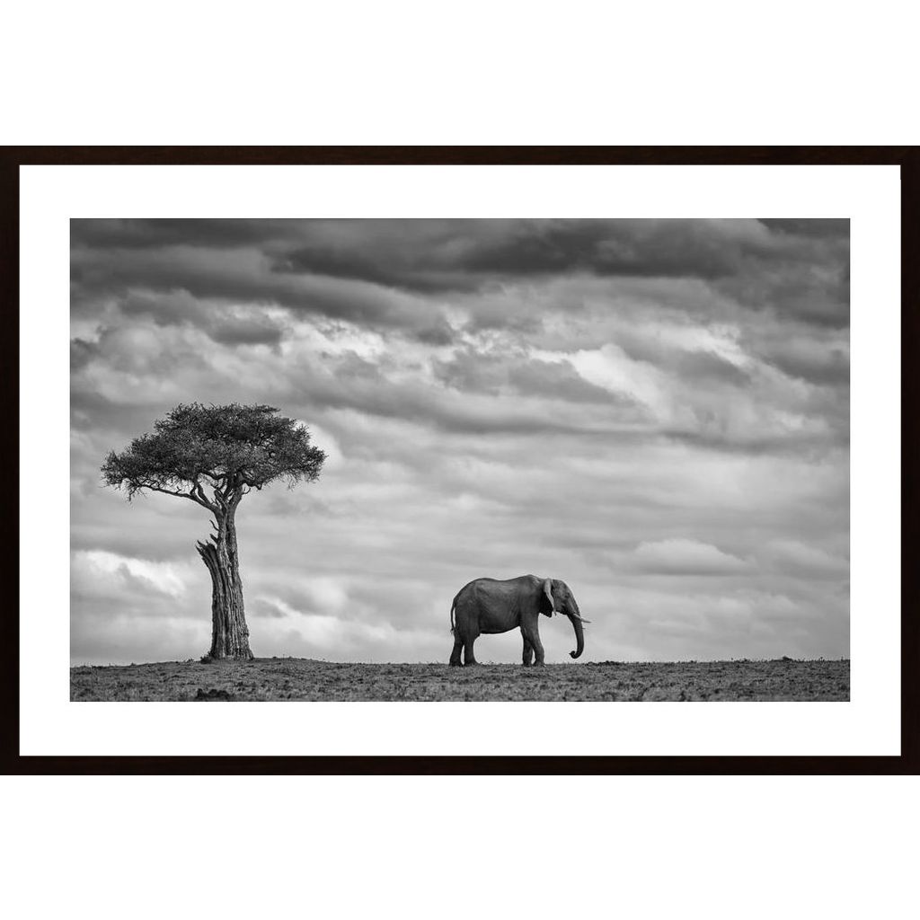 Elephant Landscape Poster
