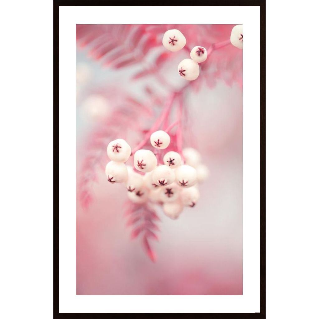 Berries On A Twig No2 Poster