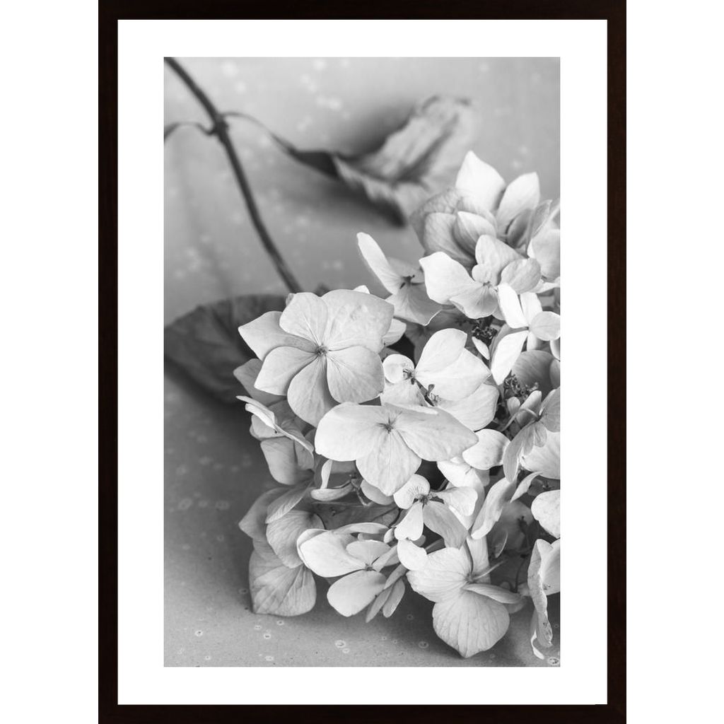 Dried Flowe Ron Plate Black A White Poster