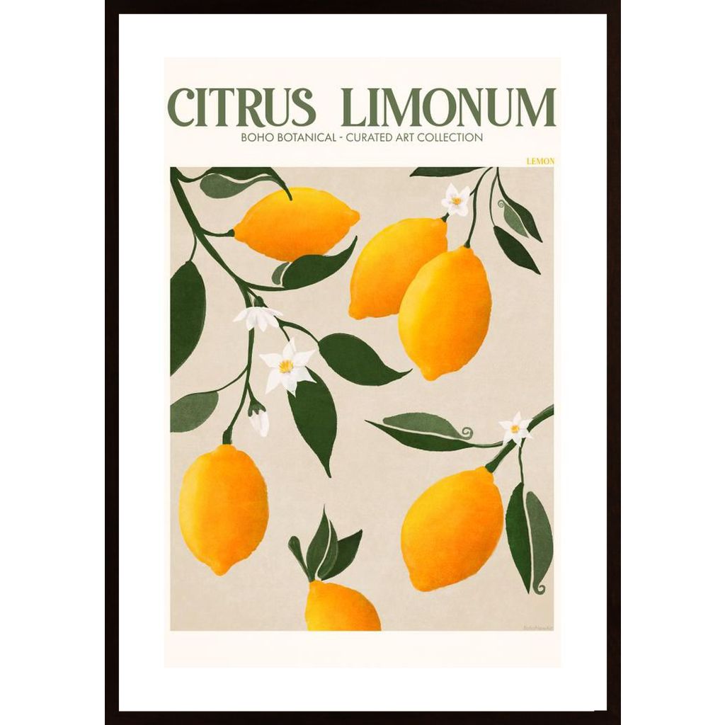 Fruit Market Lemons Poster