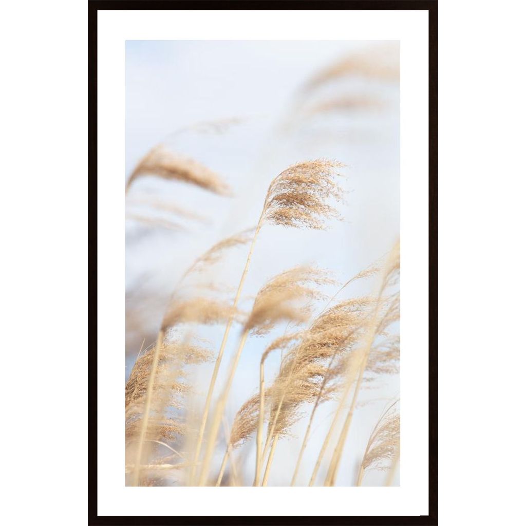 Grass Reed And Sky 2 Plakát