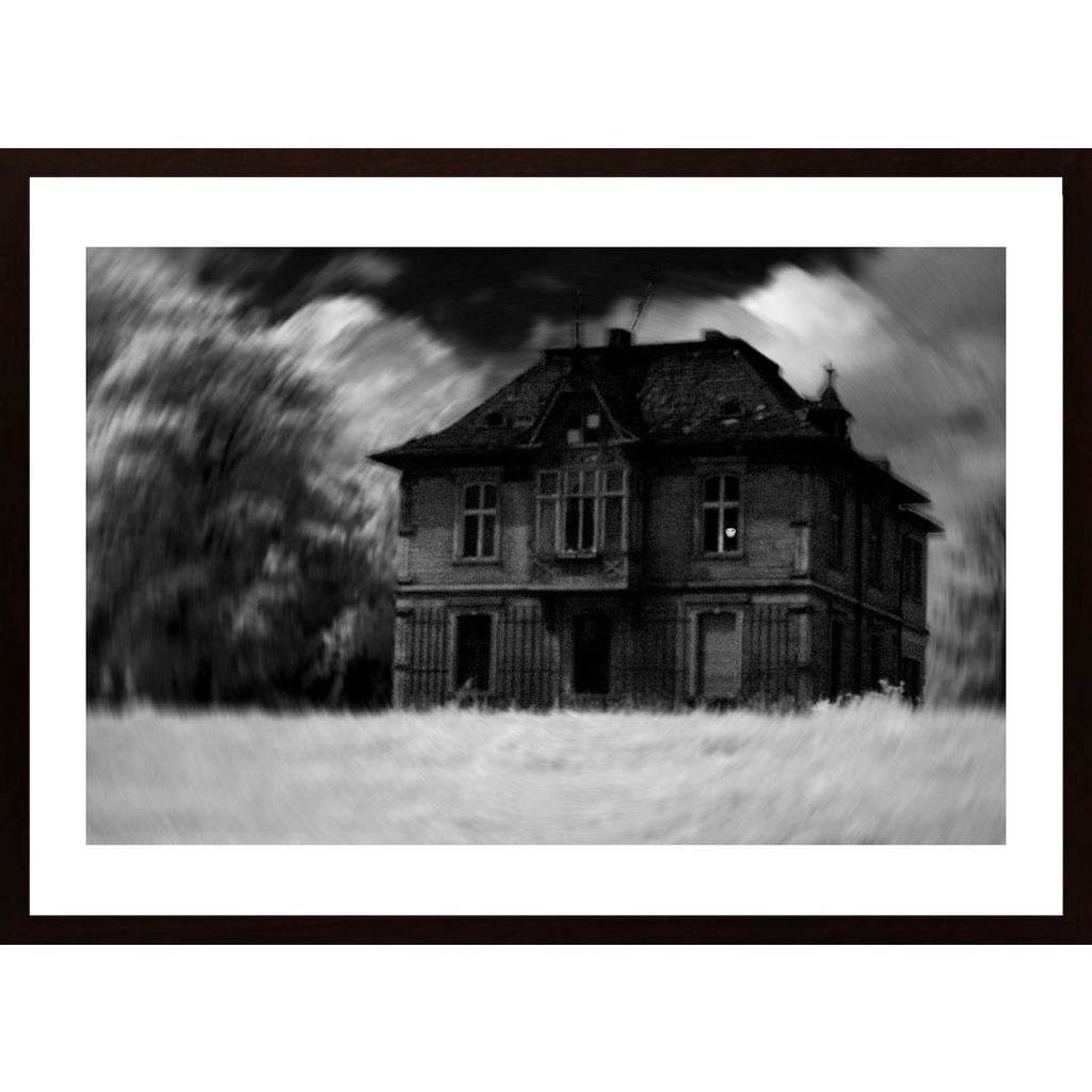The Haunted House Plakát