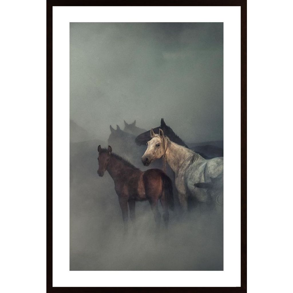 The Lost Horses Plakát
