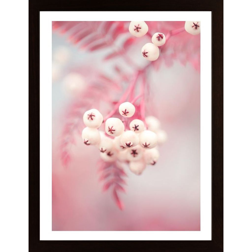 Berries On A Twig No2 Poster