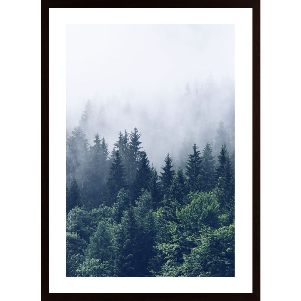Forested Mountain Poster