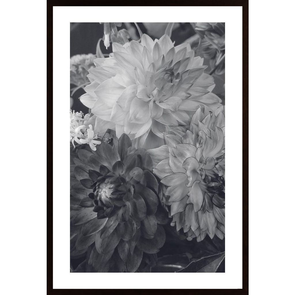 Hydrangea Flowers Poster
