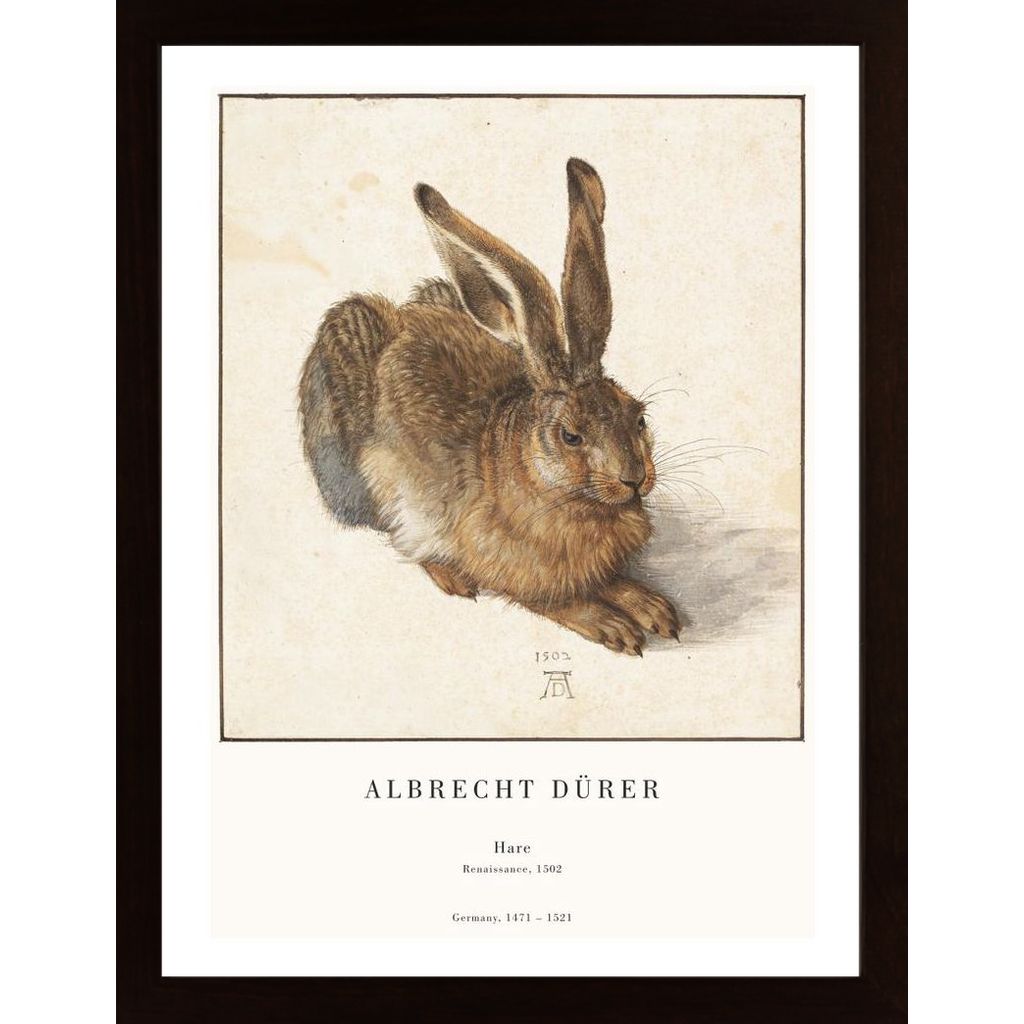 The Hare Poster