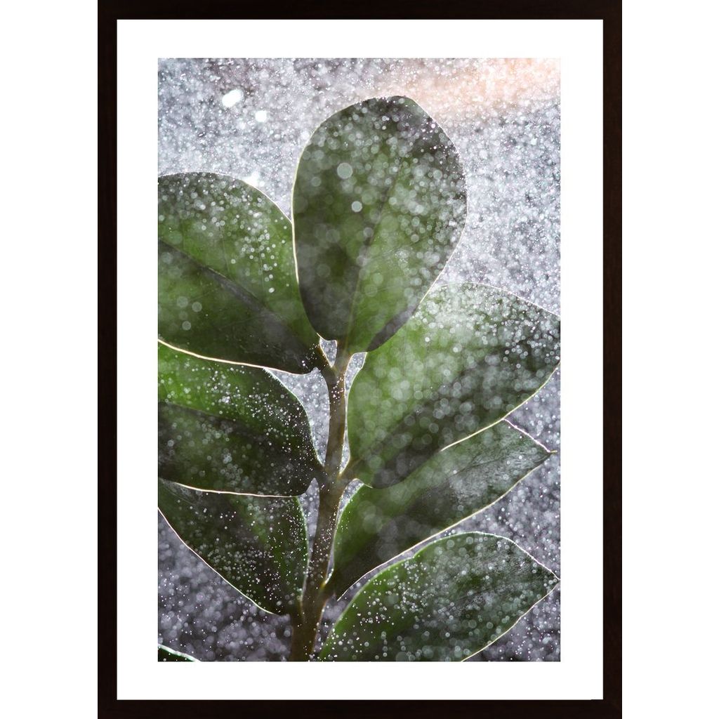 Green Plant And Water Poster
