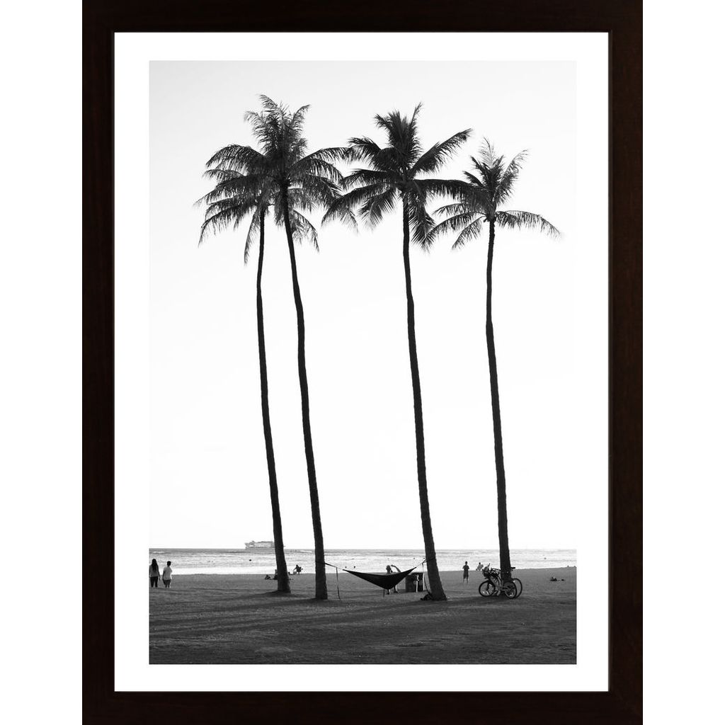 Palm Treess Poster