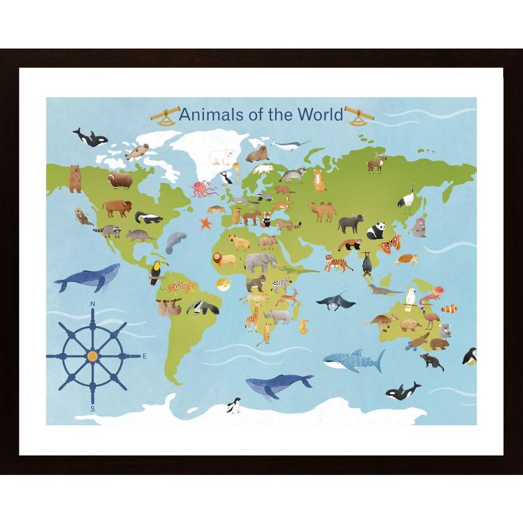 Animals Of The World Plakat