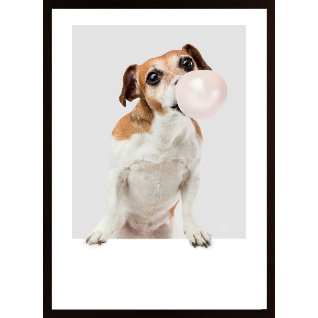 Dog Chewing Bubble Gum Plakát