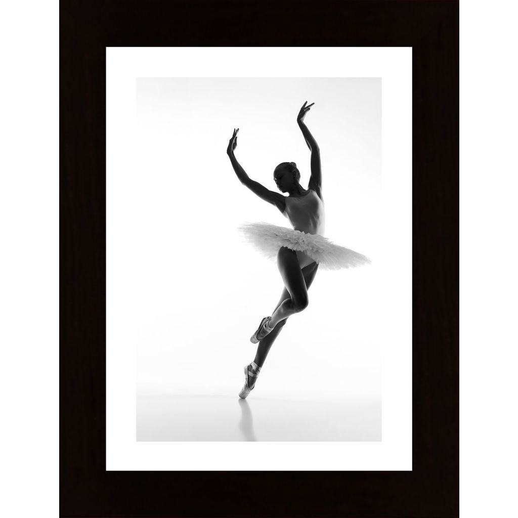 Lady Dancing Ballet Poster