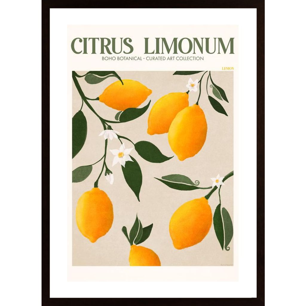 Fruit Market Lemons Plakat