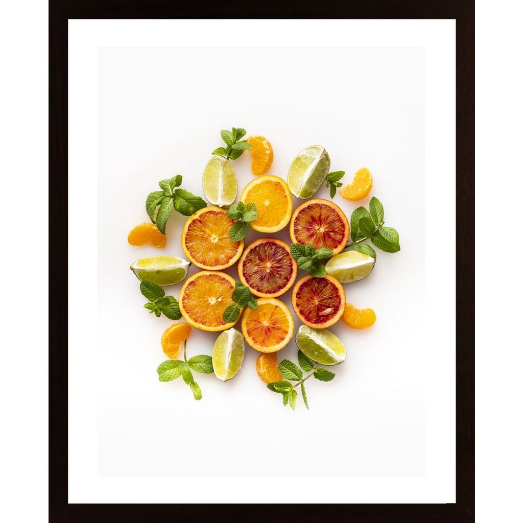 Citrus Fruits Plakát