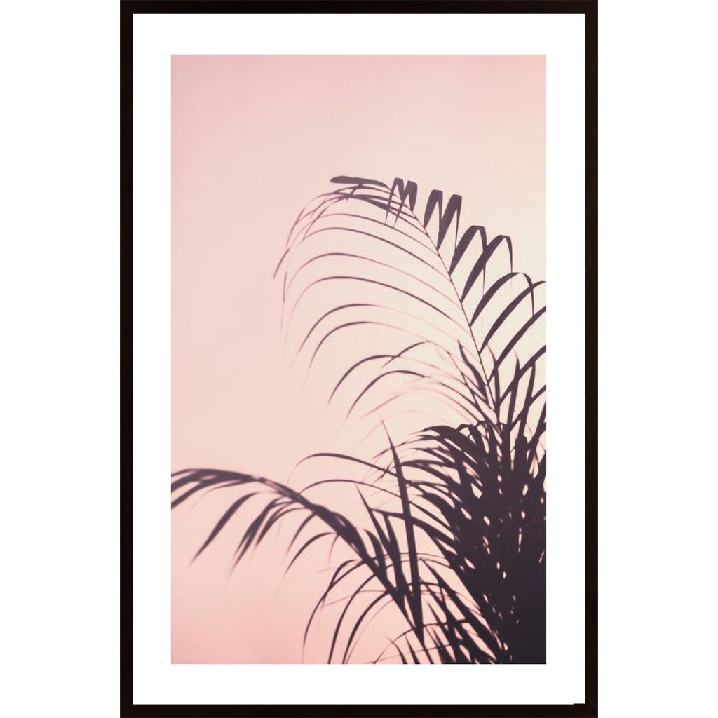 Palm Leaves 1 Plakát