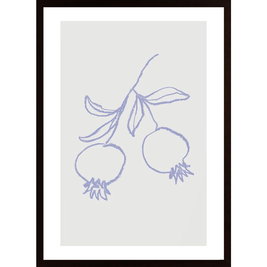 Pomegranate Lilac Poster