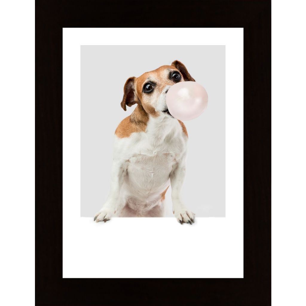 Dog Chewing Bubble Gum Plakát