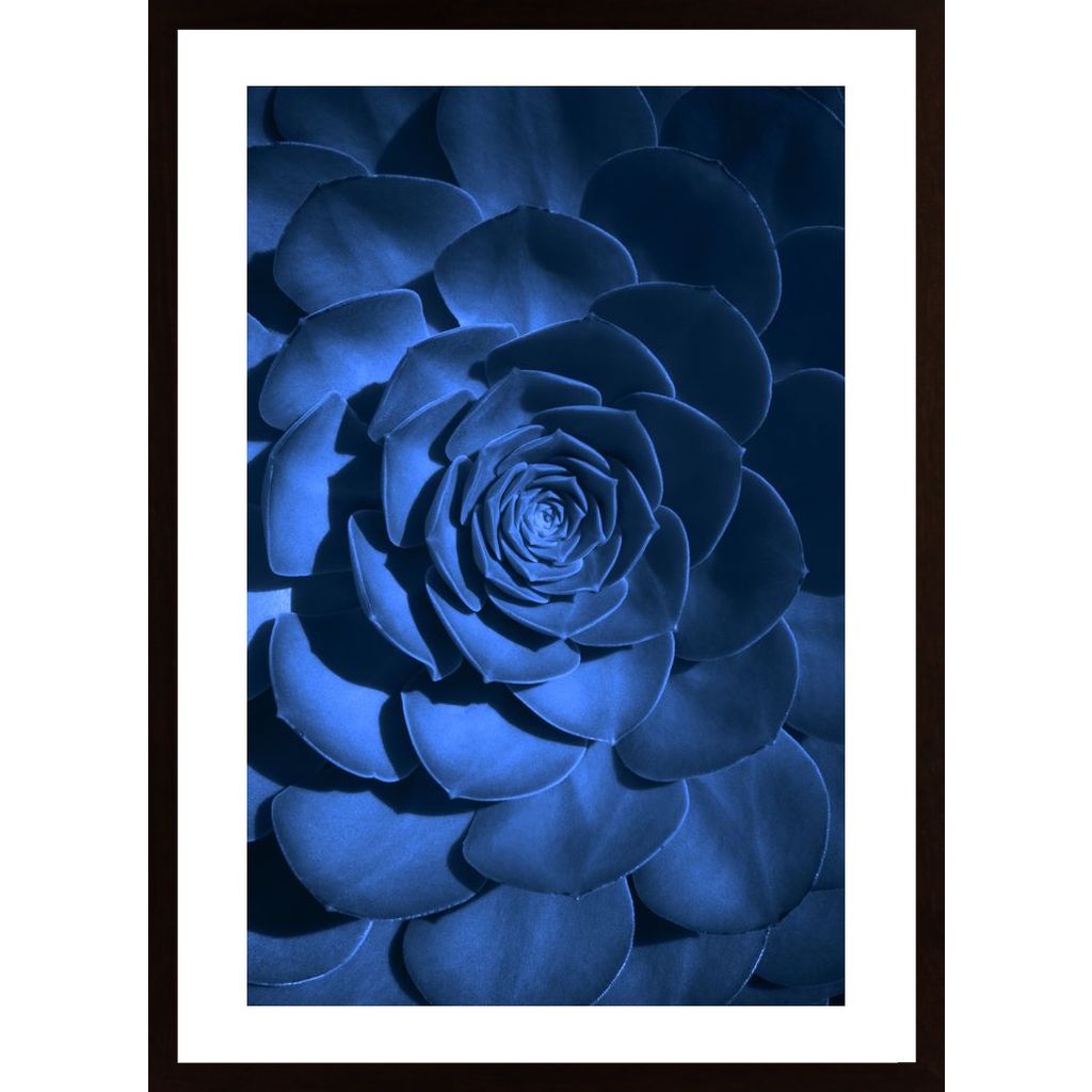 Blue Flower Poster