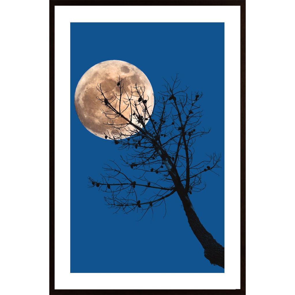 Full Moon And Dead Pine Poster