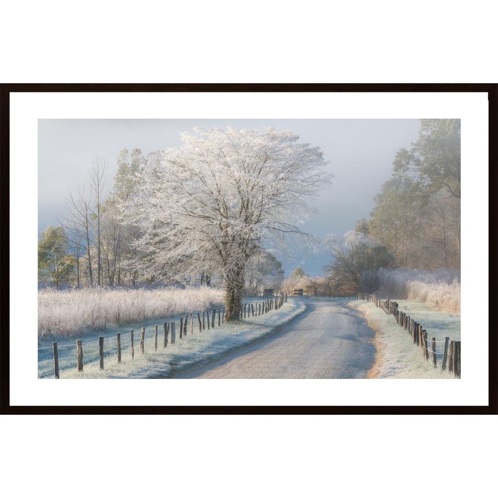 A Frosty Morning Poster
