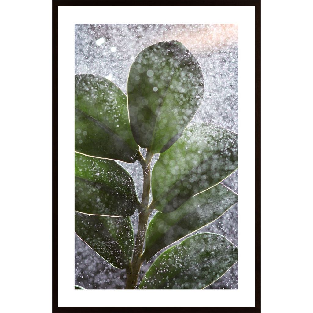 Green Plant And Water Plakat
