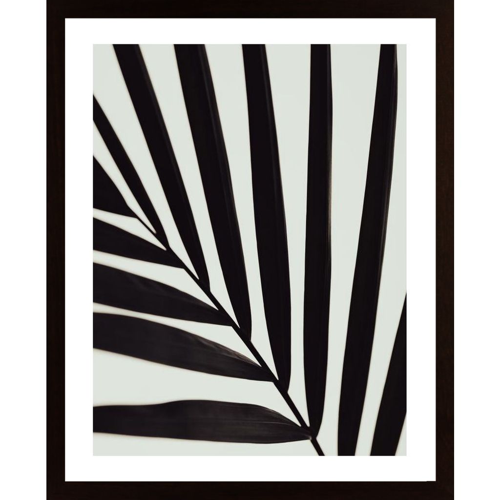 Graphic Palm Leaf 1 Poster