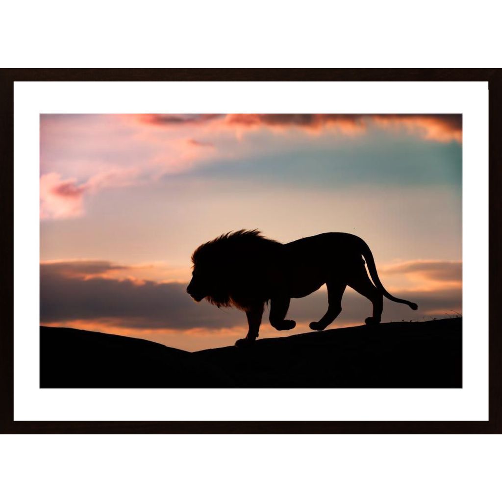 Sunset In The Serengeti Plakát