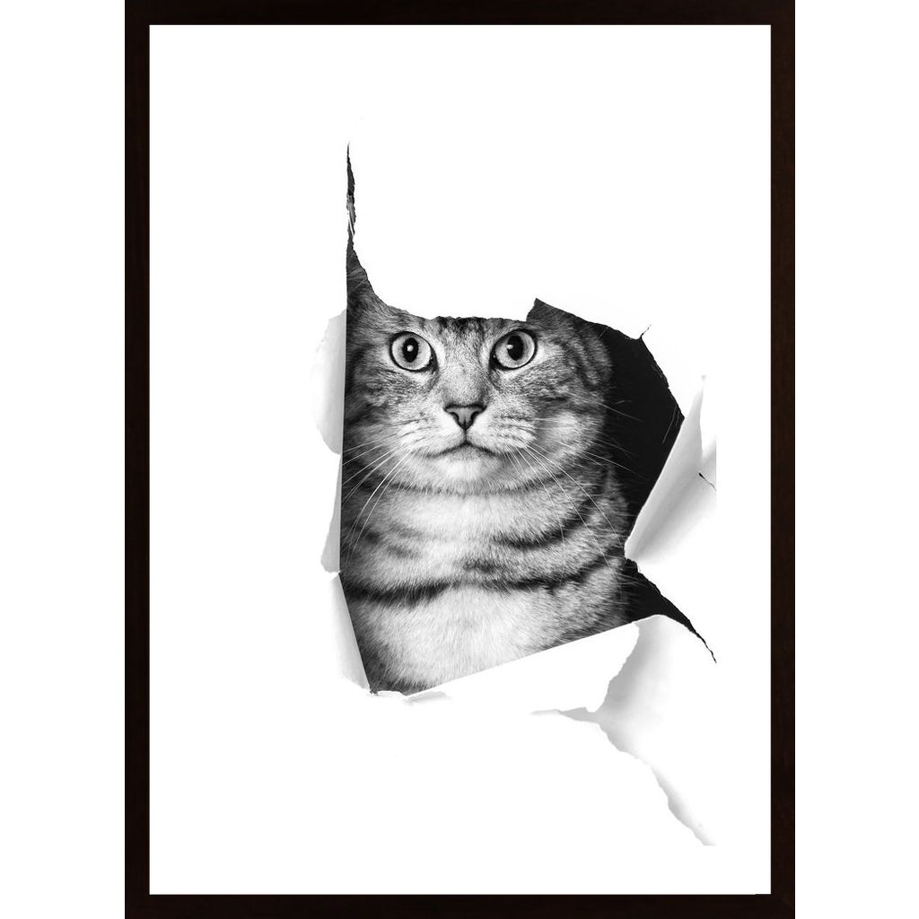 Cat Through Paper Poster
