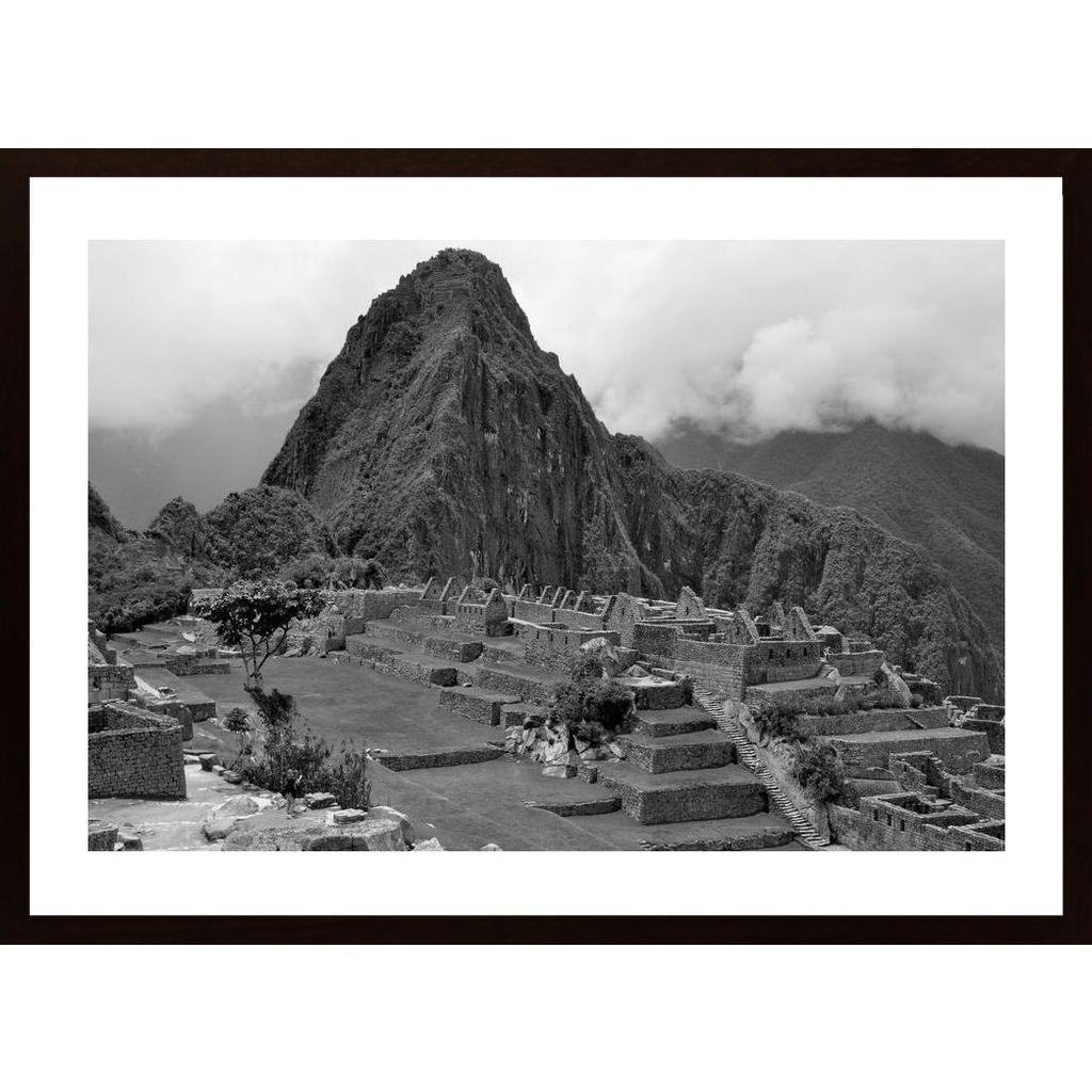 Machu Picchu Affiche