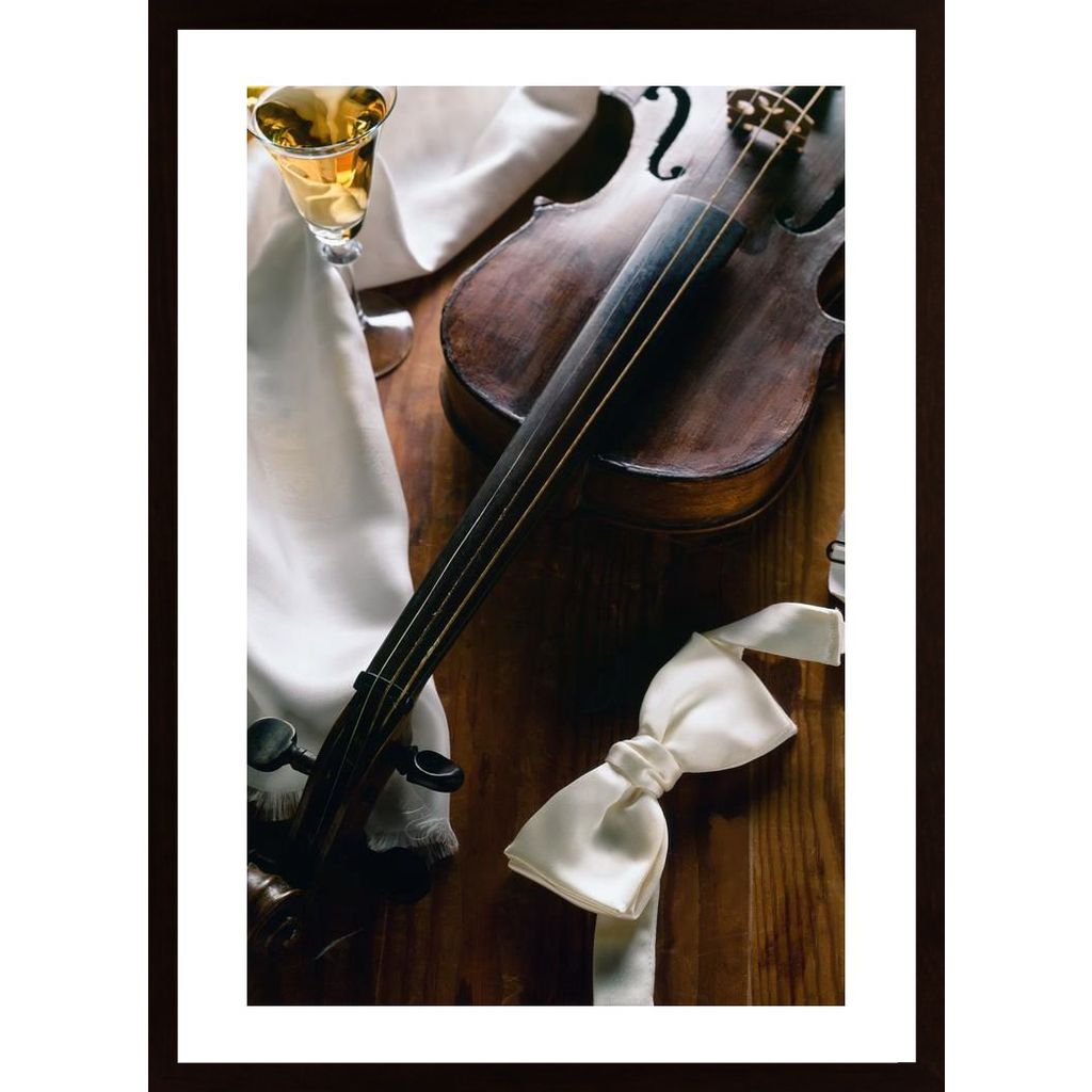 Violin Affiche