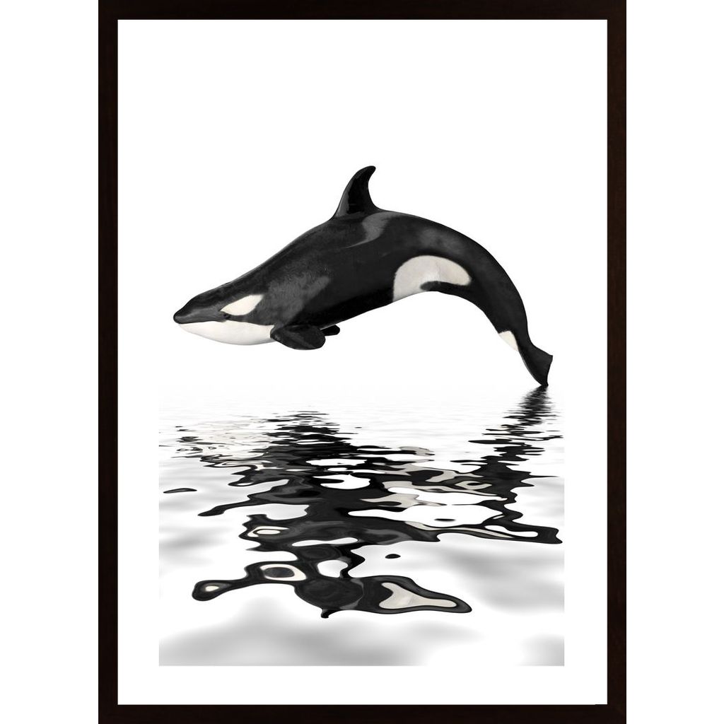 Whale With Reflection Plakat