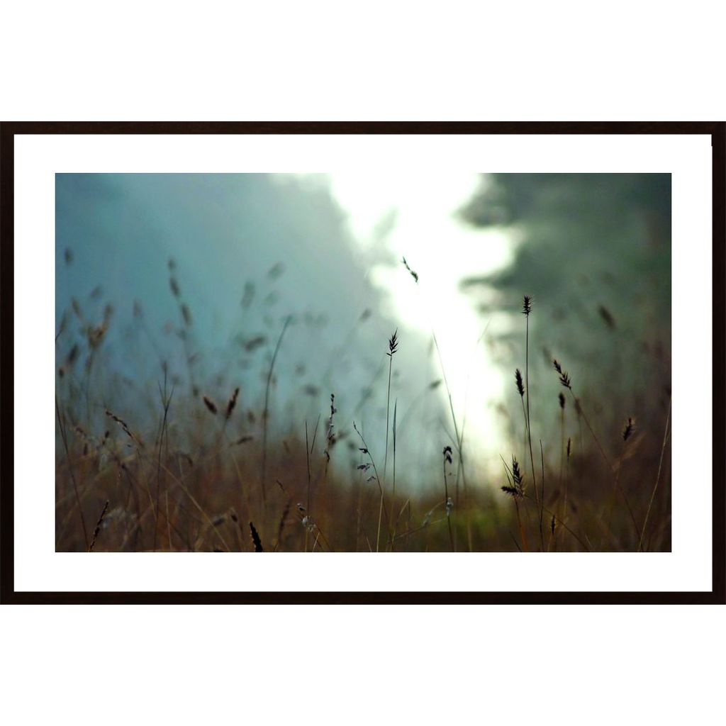 Meadow In Morning Light 1 Plakát