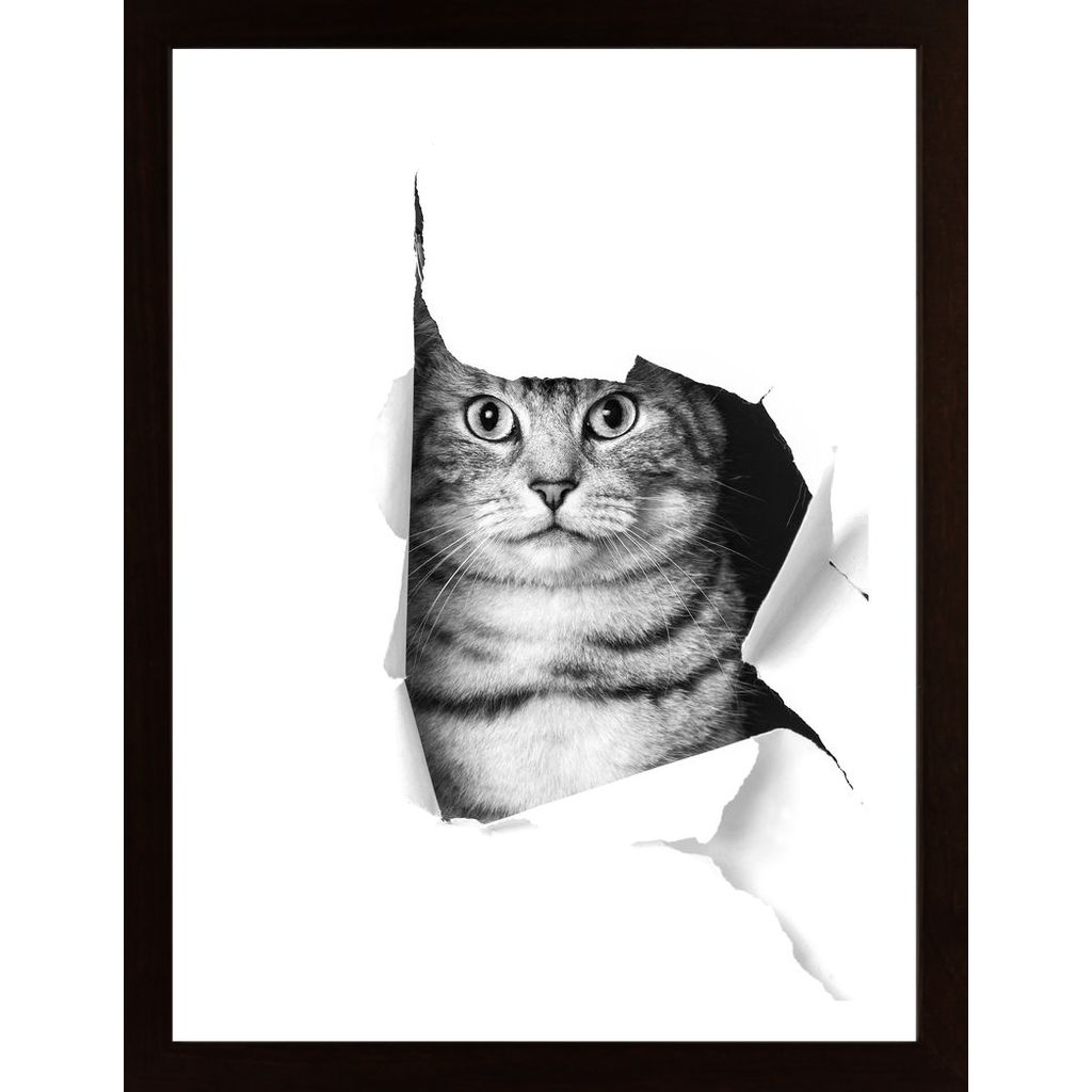 Cat Through Paper Plakát