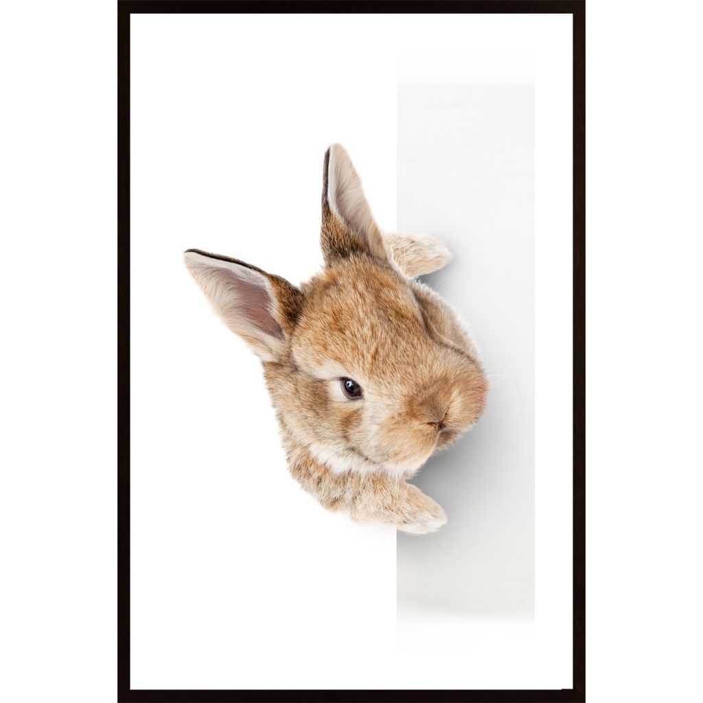 Curious Rabbit Poster