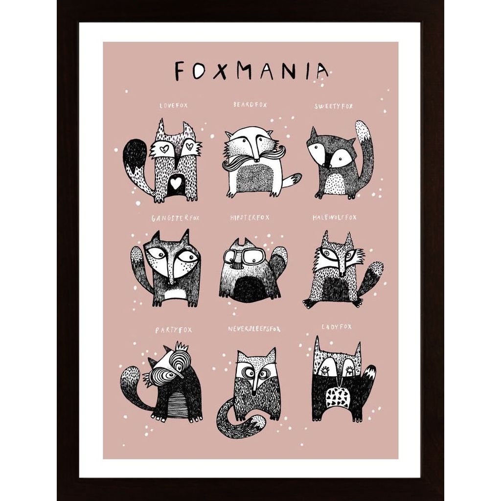 Schulze - Foxmania 1 Plakat