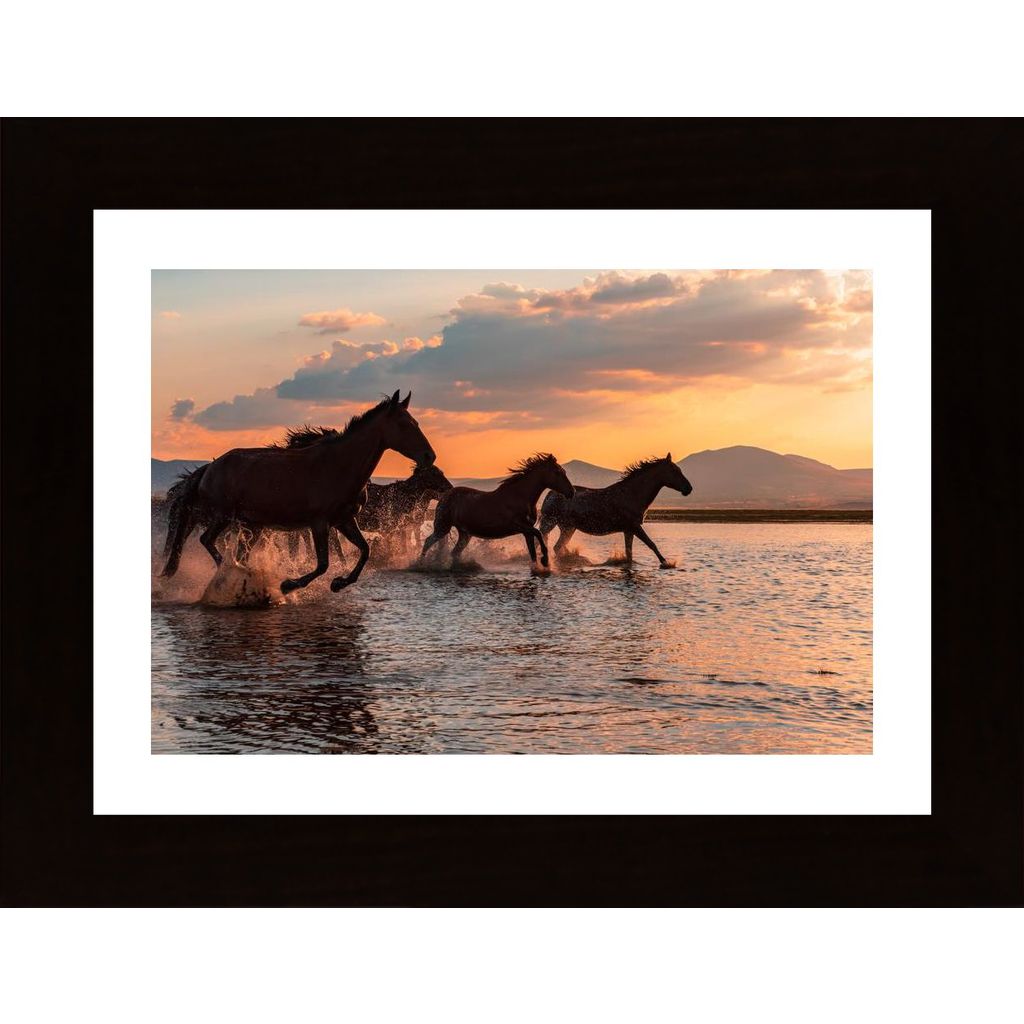 Water Horses Poster