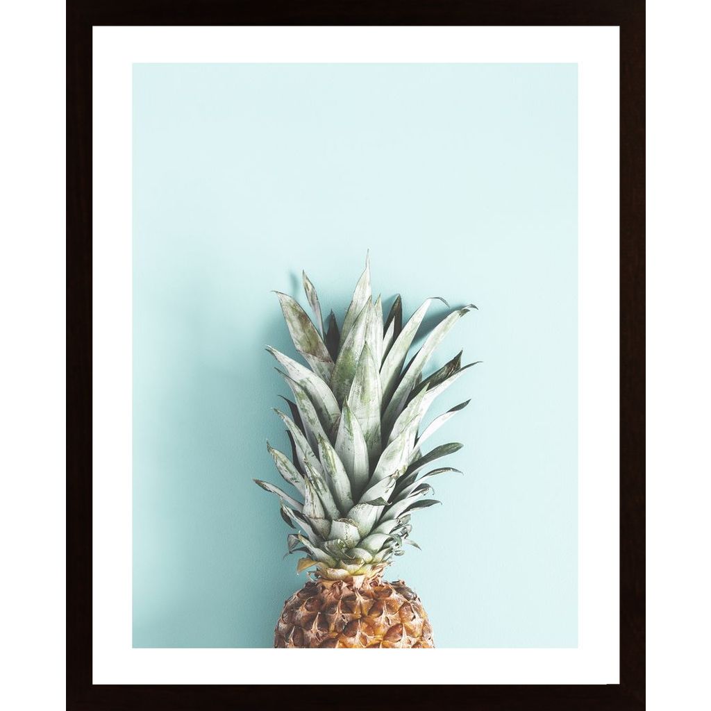 Half Pineapple Poster