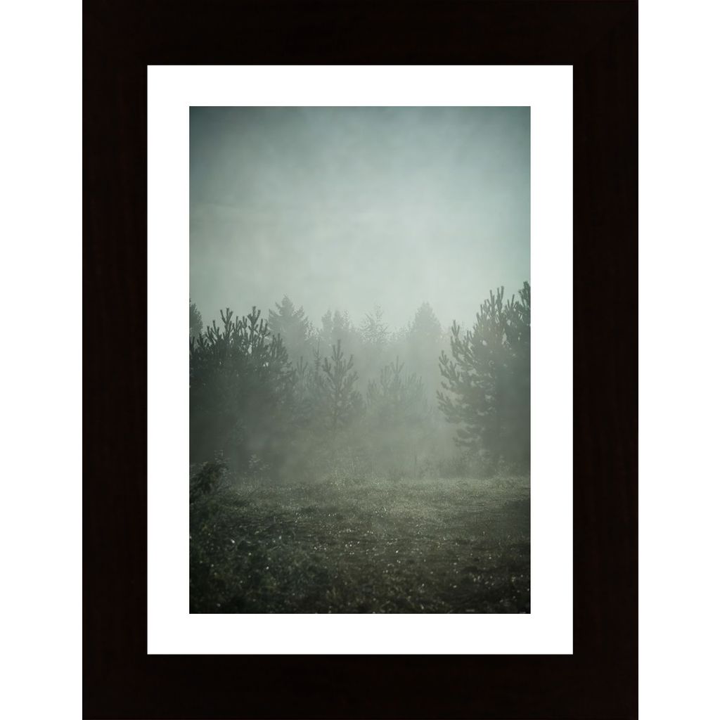 Forest Autumn Poster