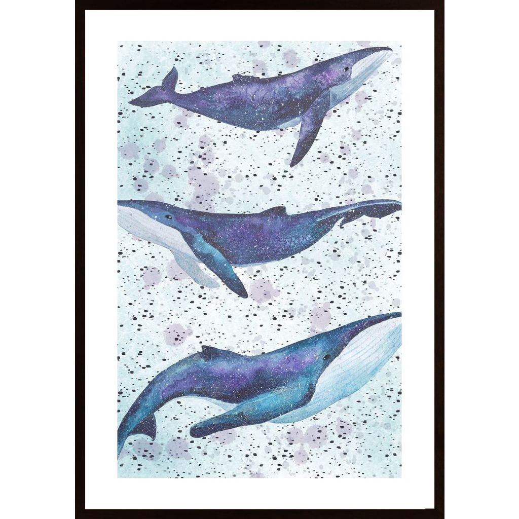 Whale Underwater Poster